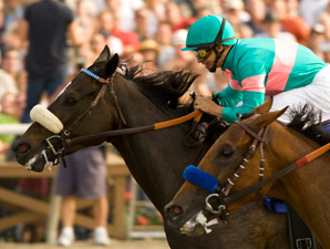 Zenyatta-Rachel Alexandra Match Race Proposed