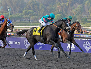 Zenyatta wins the 2009 Breeders' Cup Classic.