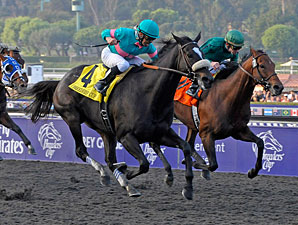 It's All Zenyatta in the BC Classic