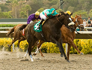 Zenyatta wins the 2010 Clement L. Hirsch.