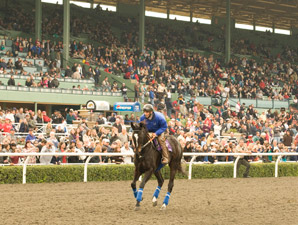 Zenyatta, John Henry Honored on Opening Day