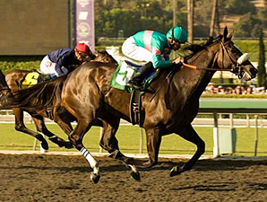 Perfect Zenyatta Repeats in 'Secret; BC Next