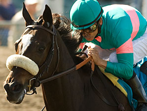 Zenyatta is 5-2 Favorite in the Classic Zenyatta is 5-2 Favorite in the Classic