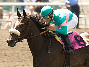 NYRA Joins Rachel Alexandra-Zenyatta Bidding