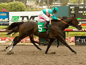 Zenyatta wins the 2010 Vanity.