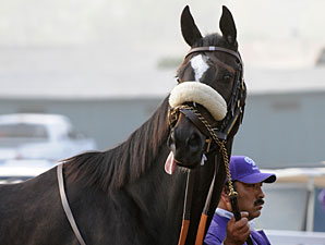Oak Tree Honors Zenyatta With Grade I Race Oak Tree Honors Zenyatta With Grade I Race
