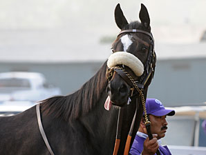 Oak Tree Honors Zenyatta With Grade I Race