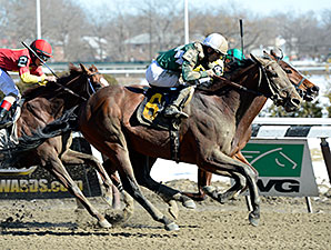 Zivo wins the 2014 Kings Point Stakes.