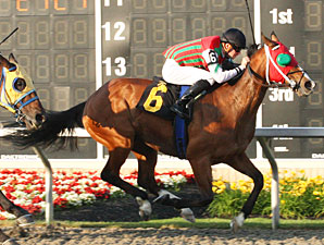 Zoeling wins the 2010 Leematt Stakes.