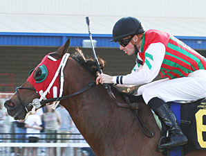 Zoeling wins the 2010 Leematt Stakes.