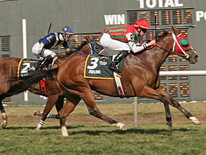 Zoeling wins the 2010 Mr. Jenney Handicap.