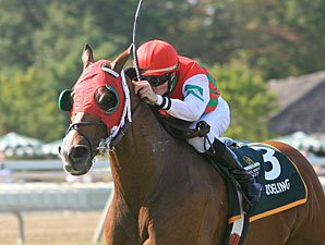 Zoeling wins the 2010 Mr. Jenney Handicap.