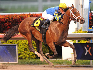 Algorithms in the Holy Bull Stakes.