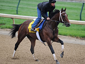 Alpha - Churchill Downs May 1, 2012.