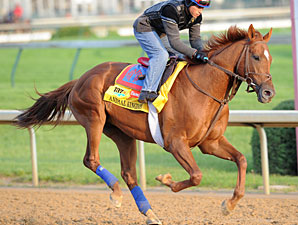 Animal Kingdom works at Churchill Downs 5/4/2011.