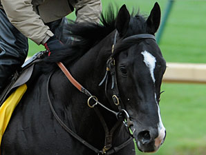 Archarcharch at Churchill Downs 5/4/2011.