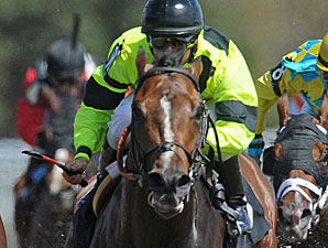 Crafty Unicorn in the OBS Championship Stakes.