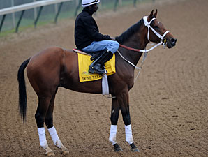 Done Talking - Churchill Downs, May 1, 2012.