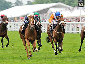 Duntle wins the Duke of Cambridge Stakes.
