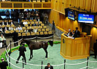 Saratoga: What We Learned From the Sale