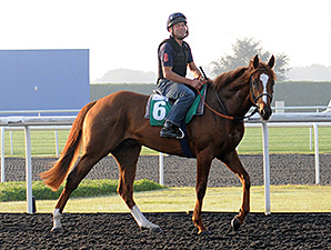 Girolamo - Dubai, March 28, 2013.