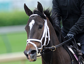 Her Smile at Churchill Downs 5/4/2011.