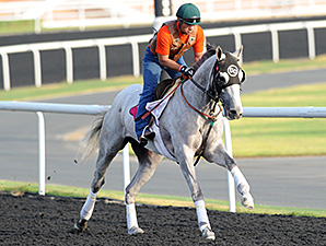 He's Had Enough at Meydan in Dubai.