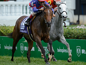 Hungry Island in the Churchill Downs Turf Mile.