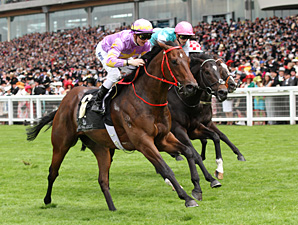 Little Bridge wins the 2012 King's Stand.