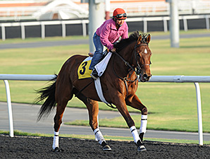 Little Mike - Dubai, March 27, 2013.
