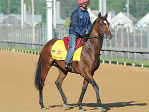 Master of Hounds jogs at Churchill Downs 5/5/2011.