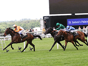 Most Improved wins the 2012 St. James's Palace Stakes.