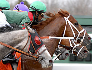 Wagering on U.S. Racing Continues to Plummet Wagering on U.S. Racing Continues to Plummet