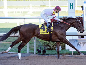 Royal Delta wins the Sabin Stakes.