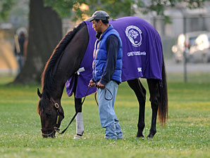 Sabercat - Churchill Downs, April 30, 2012,