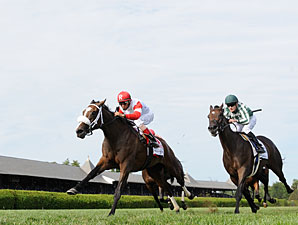 Stephanie's Kitten wins the Lake Placid Stakes.