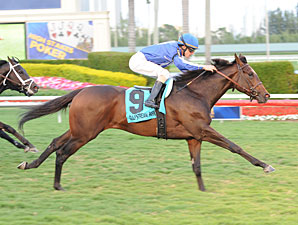 Summer Front wins the Dania Beach.
