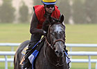 Dubai Interview - George Bolton