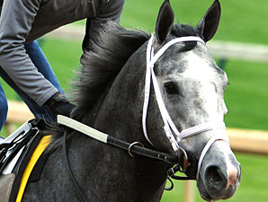 Twinspired at Churchill Downs 5/4/2011.