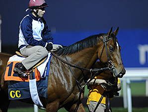 Varsity - Dubai, March 27, 2013.