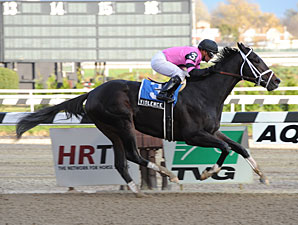 Violence wins the Nashua Stakes.