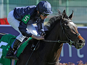 Wrote in the Breeders' Cup Juvenile Turf.