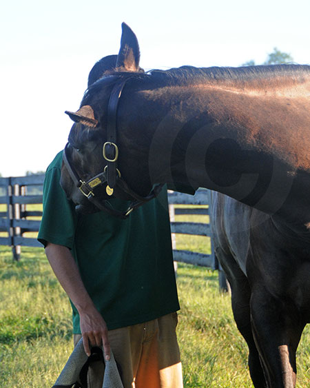 Zenyatta and Friend