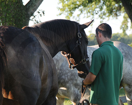 Zenyatta and her friend Matt