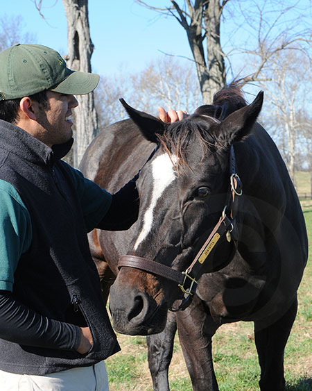 Zenyatta and Matt